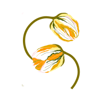 Screw Thread Other Screw Thread Other