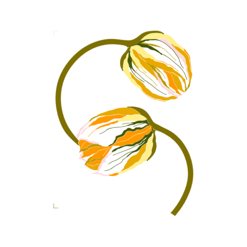 Screw Thread Other Screw Thread Other