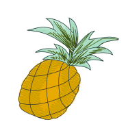 Seedless Fruit Other Seedless Fruit Other