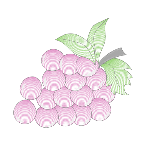 Seedless Fruit Other Seedless Fruit Other