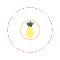 Seedless Fruit Other Seedless Fruit Other