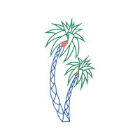 Seedless Fruit Other Seedless Fruit Other