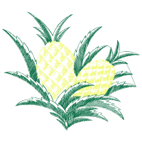 Seedless Fruit Other Seedless Fruit Other