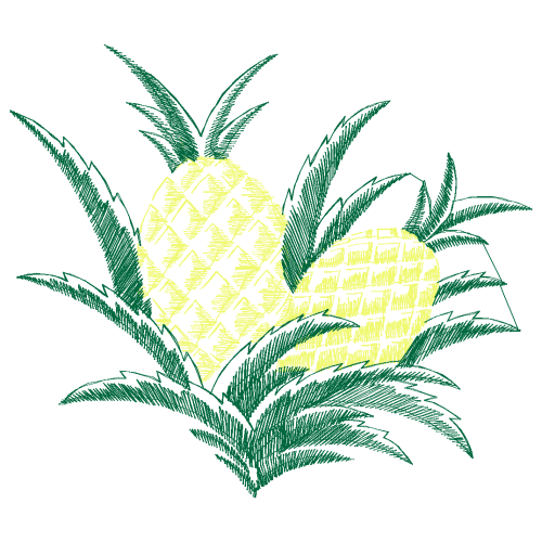 Seedless Fruit Other Seedless Fruit Other