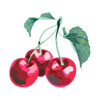 Seedless Fruit Other Seedless Fruit Other