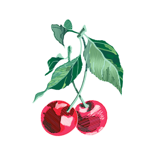 Seedless Fruit Other Seedless Fruit Other