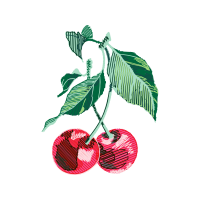 Seedless Fruit Other Seedless Fruit Other