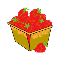 Seedless Fruit Other Seedless Fruit Other