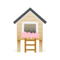 Shed Other Shed Other