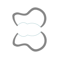 Silver Other Silver Other