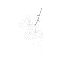 Silver Other Silver Other