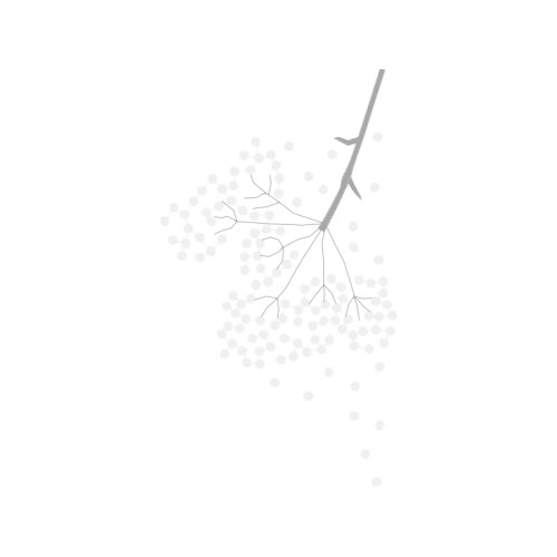 Silver Other Silver Other