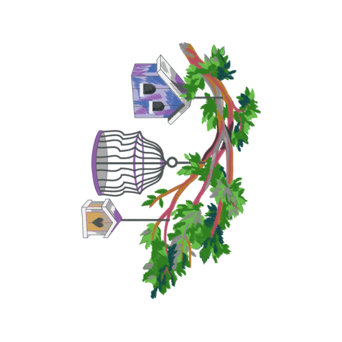 Sitka Spruce Other Sitka Spruce Other