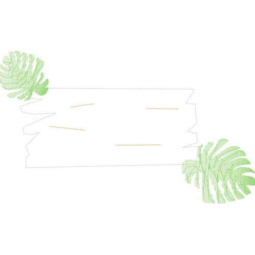 Sketch Other Sketch Other