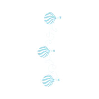 Sketch Other Sketch Other