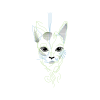 Sketch Other Sketch Other