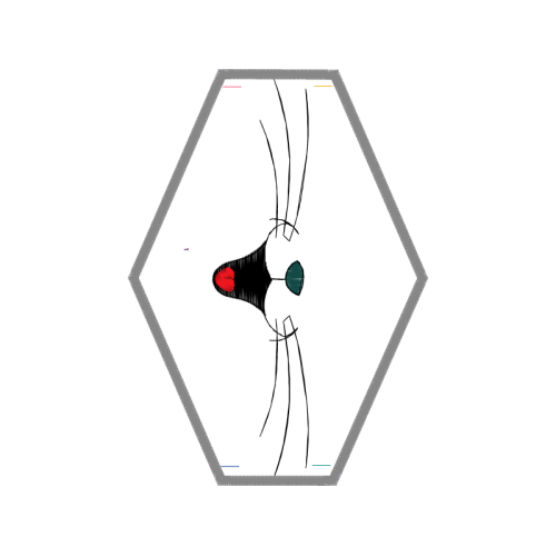 Sketch Other Sketch Other