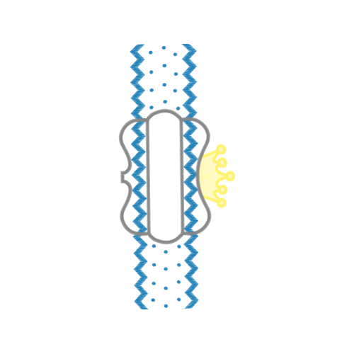 Sketch Other Sketch Other