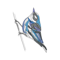 Sketch Other Sketch Other