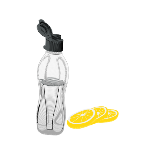 Sketch Other Sketch Other