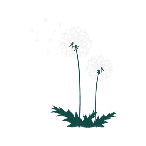 Sketch Other Sketch Other