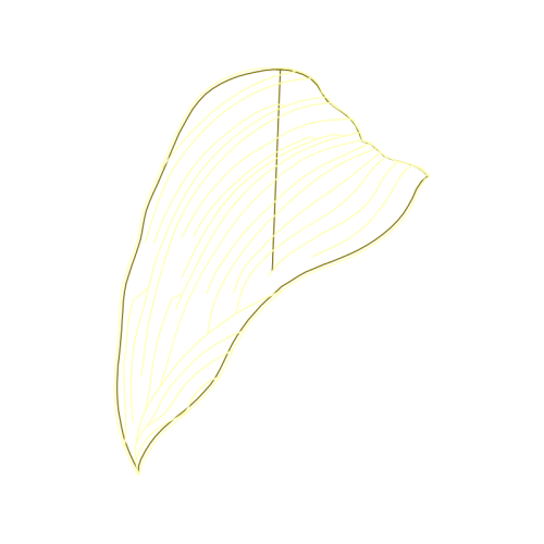 Sketch Other Sketch Other