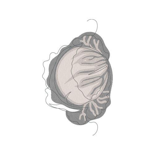 Sketch Other Sketch Other