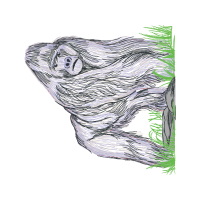 Sketch Other Sketch Other