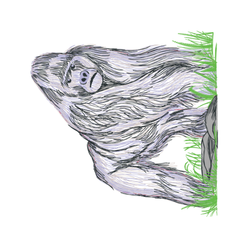 Sketch Other Sketch Other