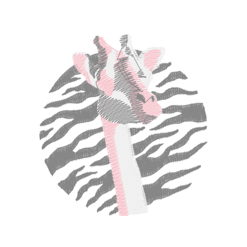 Sketch Other Sketch Other