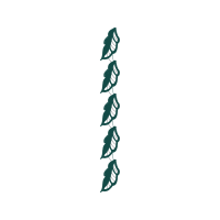 Sketch Other Sketch Other