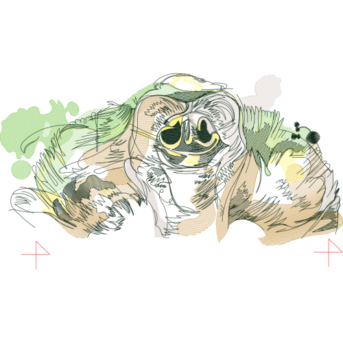 Sketch Other Sketch Other