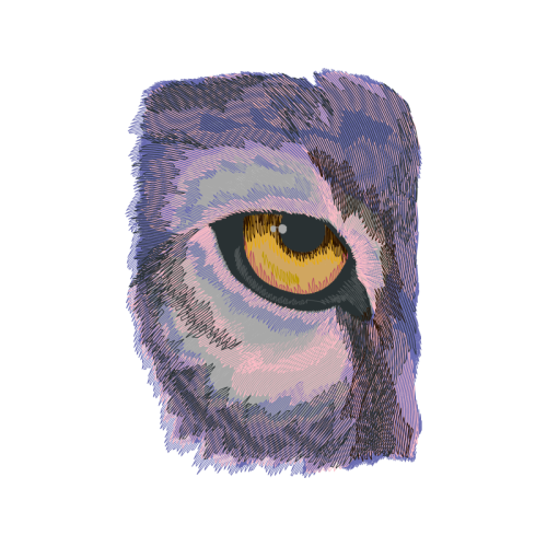 Sketch Other Sketch Other