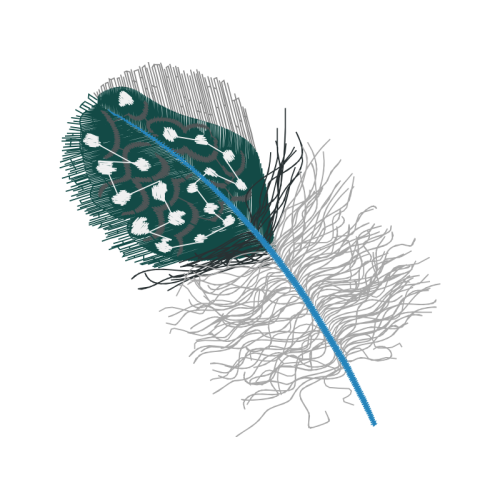 Sketch Other Sketch Other