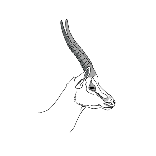 Sketch Other Sketch Other