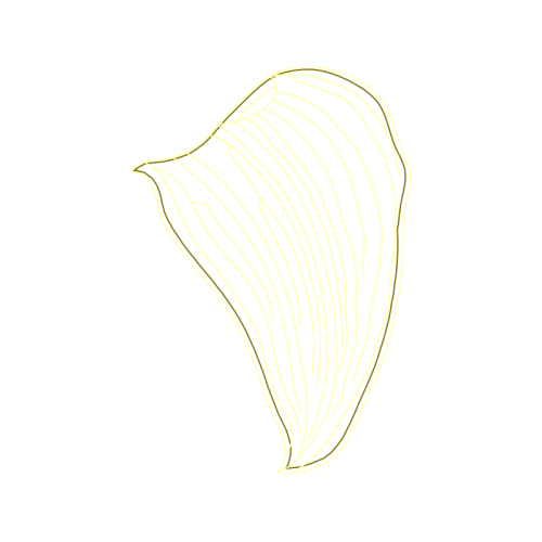 Sketch Other Sketch Other