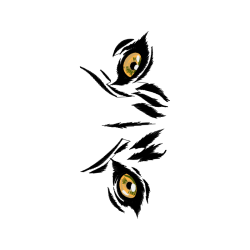 Sketch Other Sketch Other