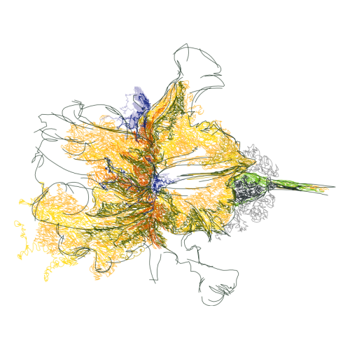 Sketch Other Sketch Other