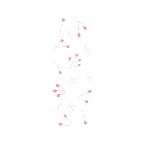 Sketch Other Sketch Other