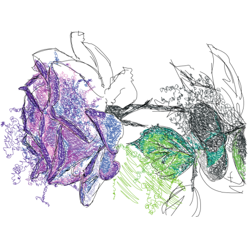 Sketch Other Sketch Other