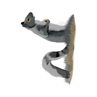 Sketch Other Sketch Other