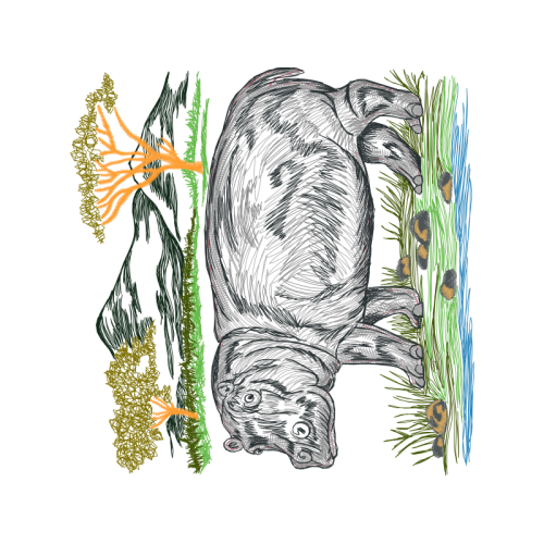 Sketch Other Sketch Other