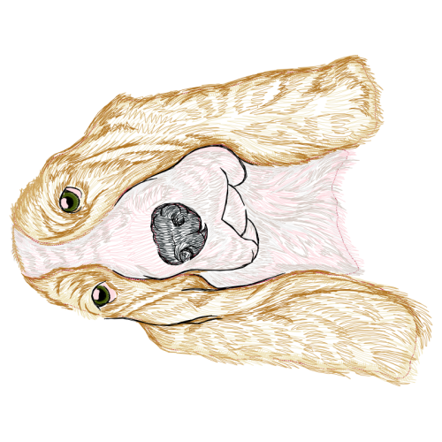 Sketch Other Sketch Other