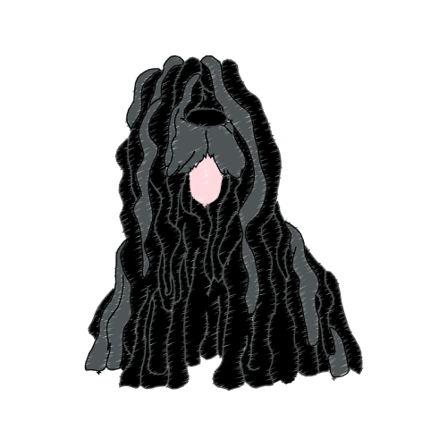 Sketch Other Sketch Other