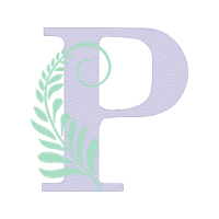 Sketch Other Sketch Other