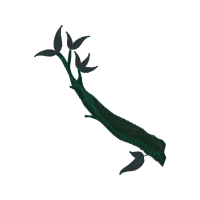 Skink Other Skink Other