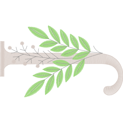 Slippery Elm Other Slippery Elm Other