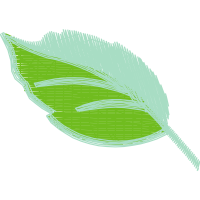 Slippery Elm Other Slippery Elm Other