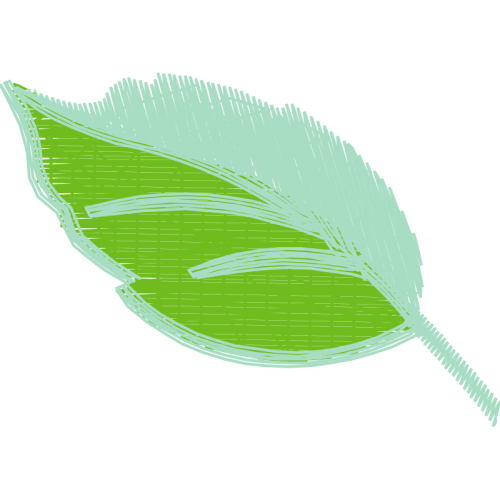 Slippery Elm Other Slippery Elm Other