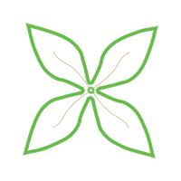 Slope Other Slope Other